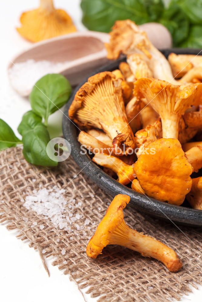 Plate Of Chanterelles RoyaltyFree Stock Image Storyblocks