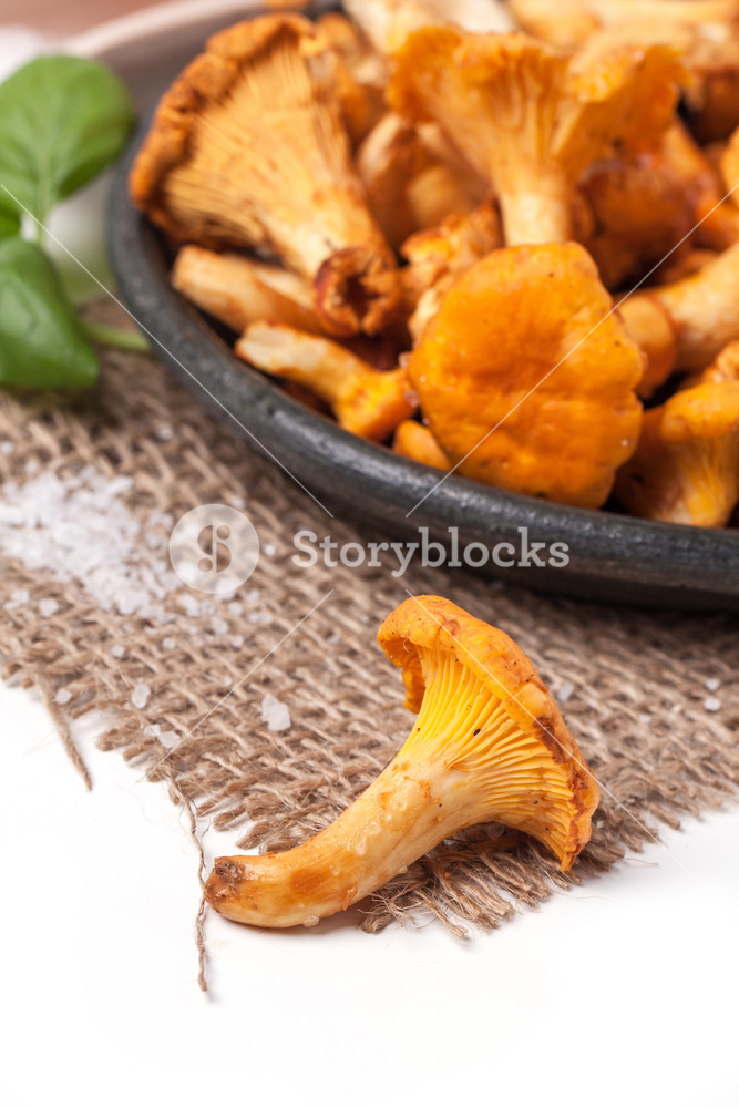 Plate Of Chanterelles RoyaltyFree Stock Image Storyblocks
