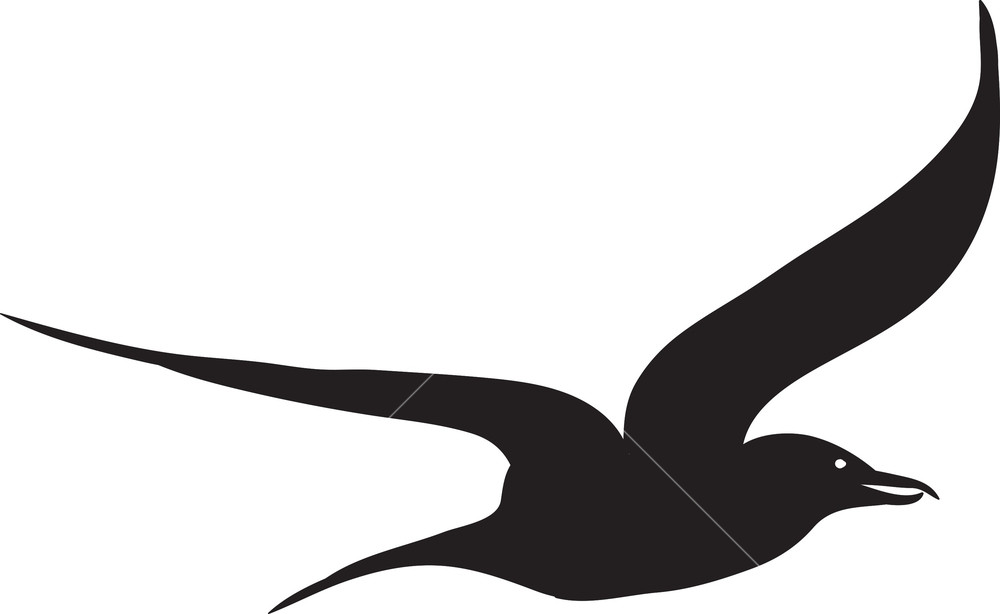 Bird Vector Element