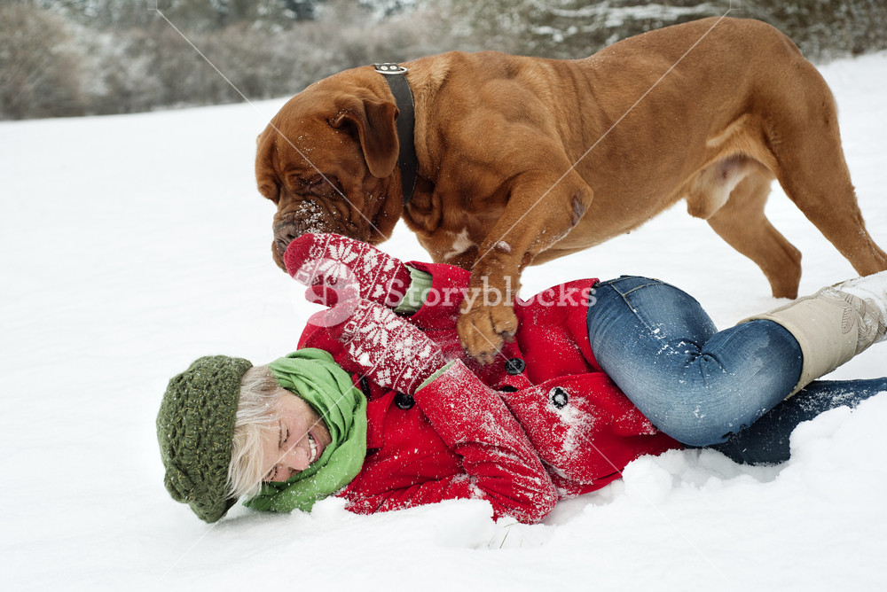 Girl enjoys playful time with her adorable dog in snowy weather