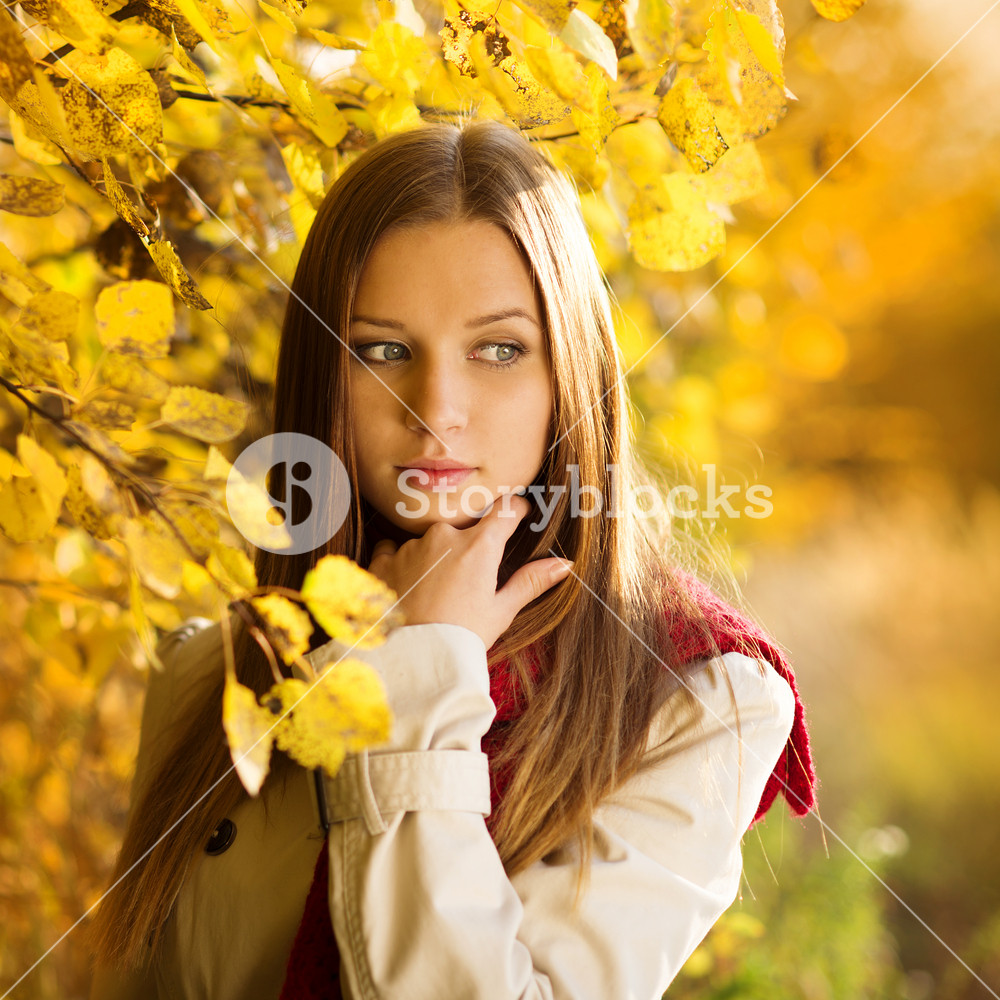 Portrait of beautiful girl in autumn park with yellow leaves Royalty ...