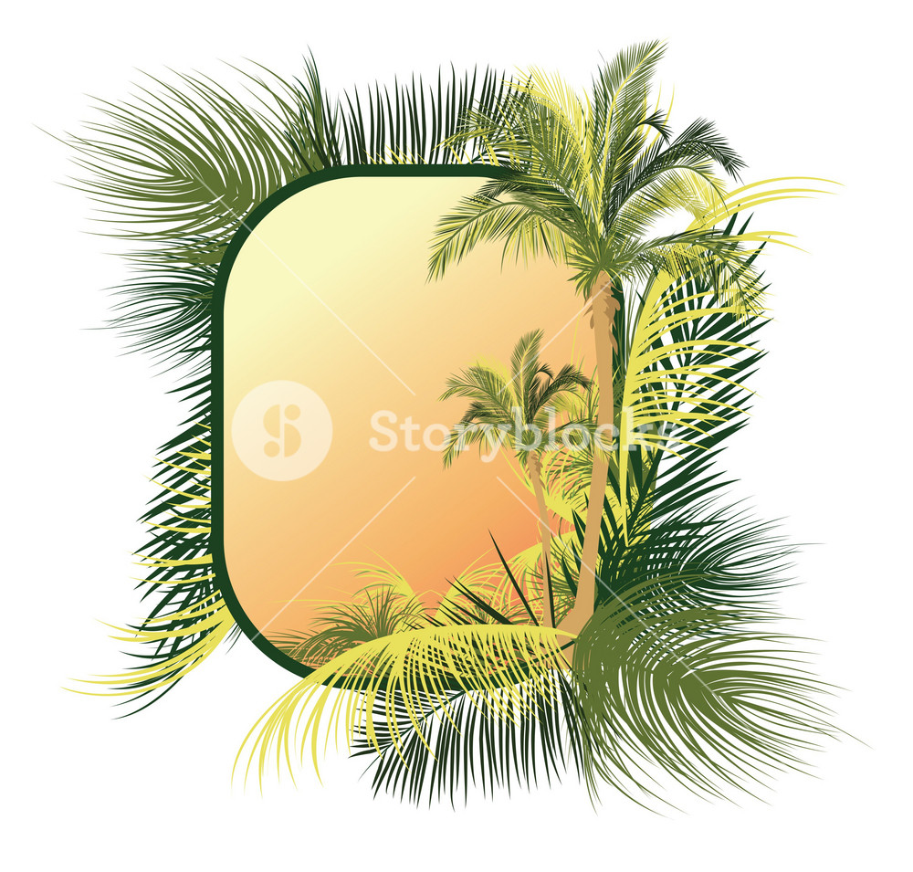Palm Tree Frame RoyaltyFree Stock Image Storyblocks