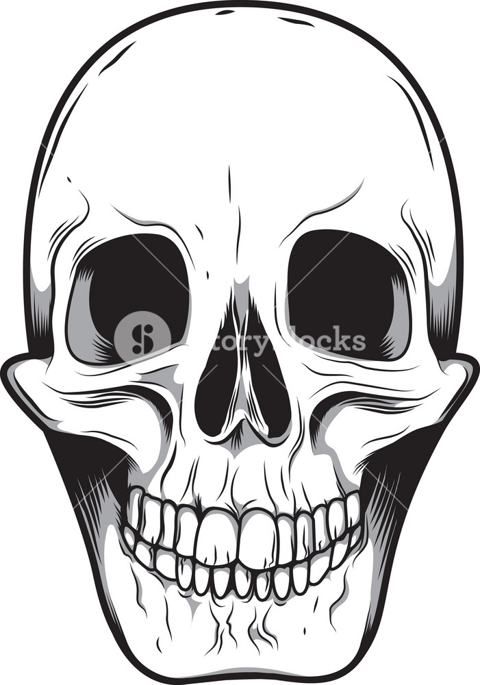 Skull Vector Element