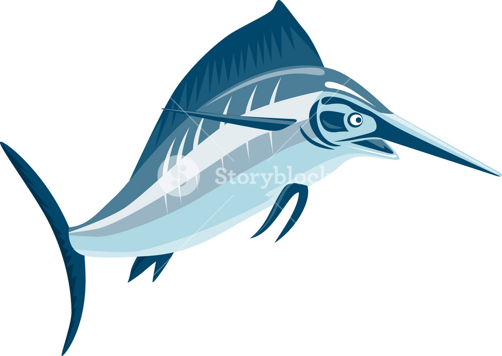 Swordfish Jumping RoyaltyFree Stock Image Storyblocks