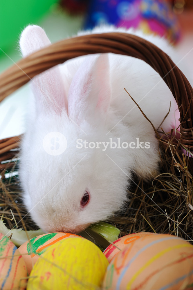 Beautiful Easter Bunny with Eggs in Basket