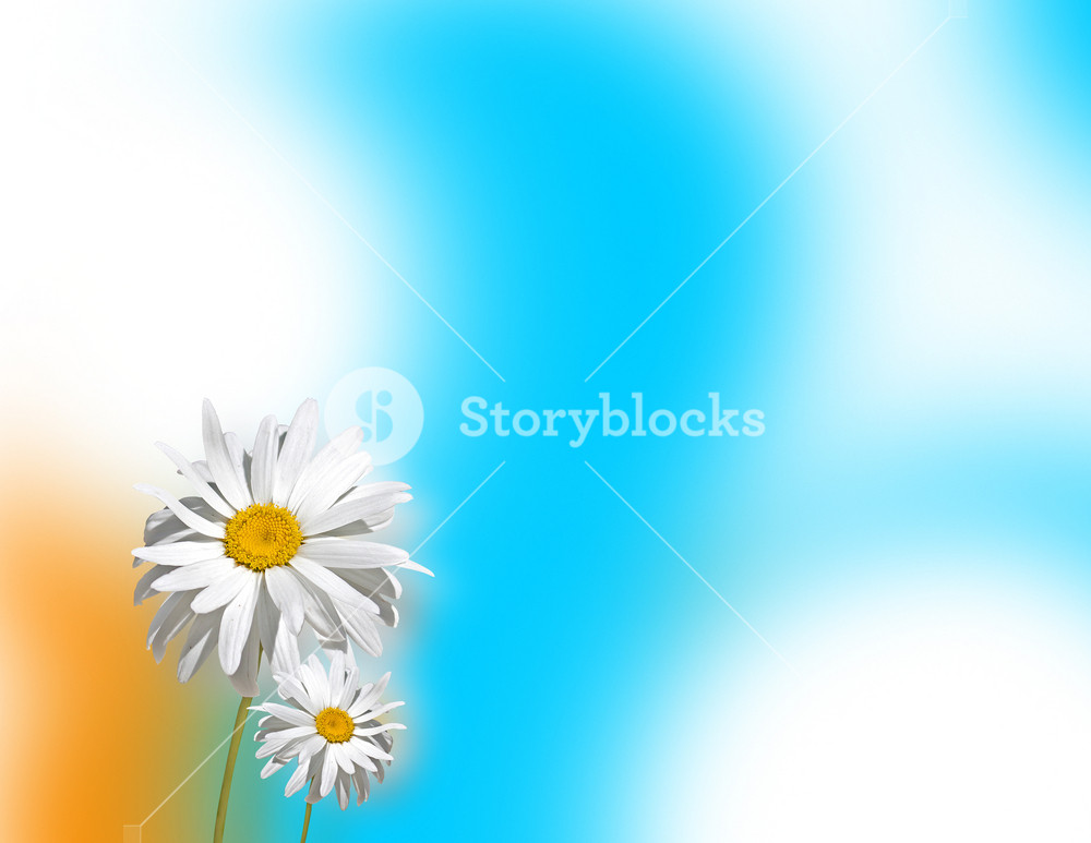White Flower Abstract Background Royalty-Free Stock Image - Storyblocks