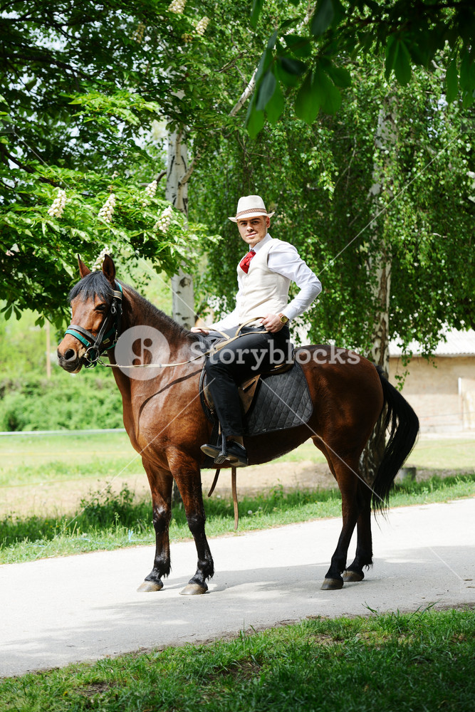 Young stylish man with tie and hat riding a horse on countryside